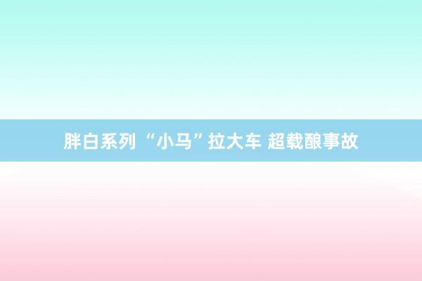 胖白系列 “小马”拉大车 超载酿事故