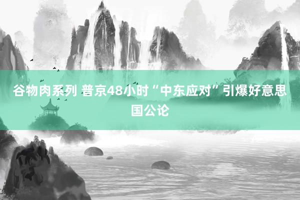 谷物肉系列 普京48小时“中东应对”引爆好意思国公论