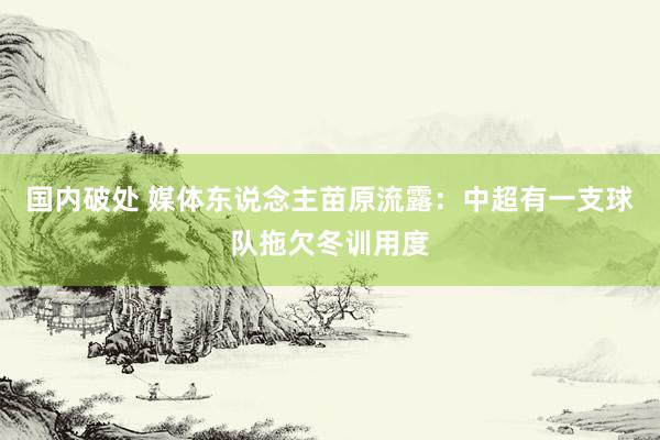 国内破处 媒体东说念主苗原流露：中超有一支球队拖欠冬训用度