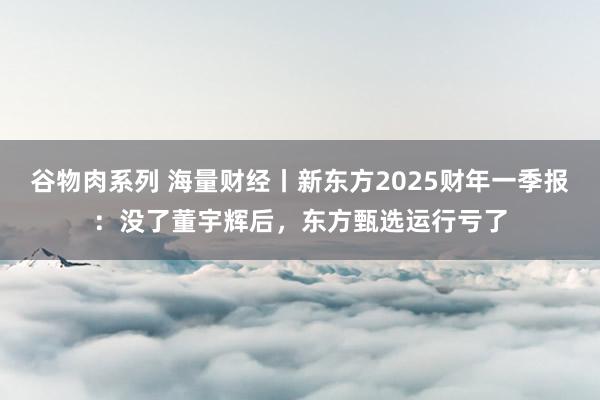 谷物肉系列 海量财经丨新东方2025财年一季报：没了董宇辉后，东方甄选运行亏了